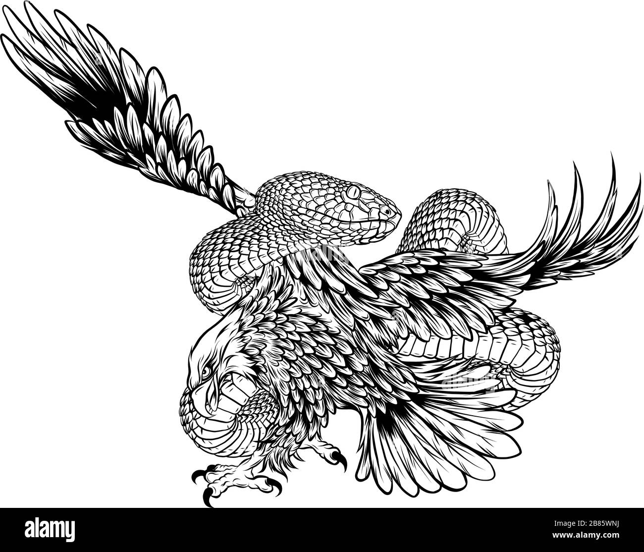 Eagle Fight Snake Vector Illustration Design Art Stock Vektor