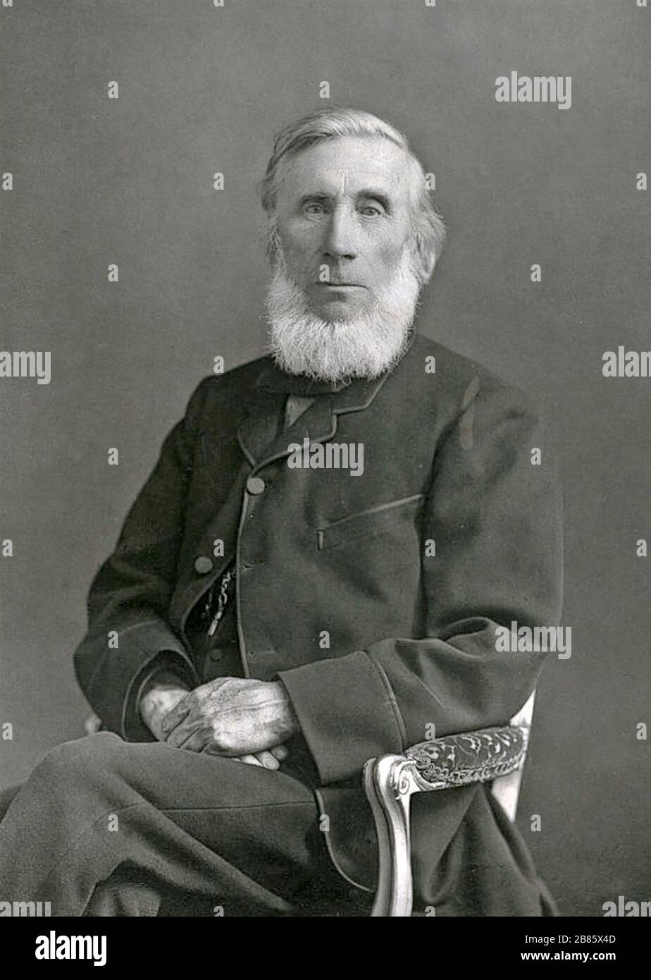 Irischer Physiker JOHN TYNDALL (1820-1893) Stockfoto