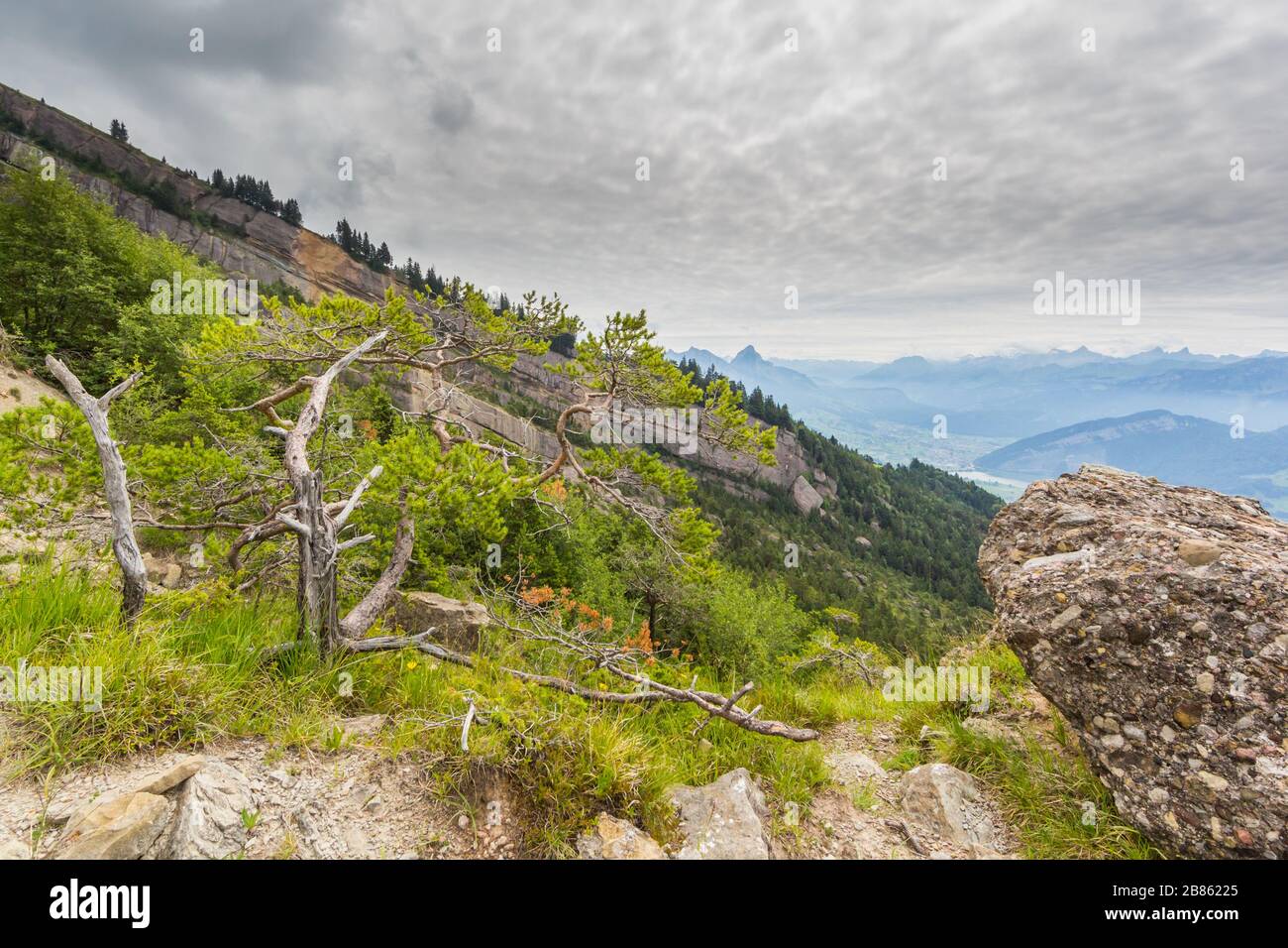 Felslandschaft Goldau, bewölkt Himmel und Vegetation Stockfoto