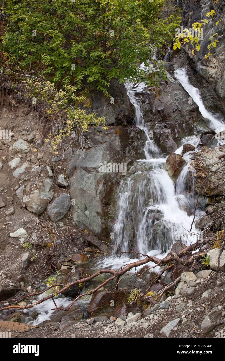 Kleine Kaskade in Wrangell-St. Elias National Park, Chitina, Alaska Stockfoto