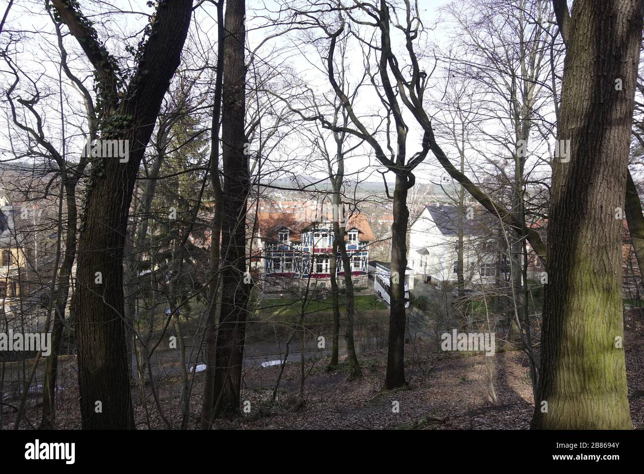 Teufelsmauer Harz bei Blankenburg im Sonnenuntergang Stockfoto