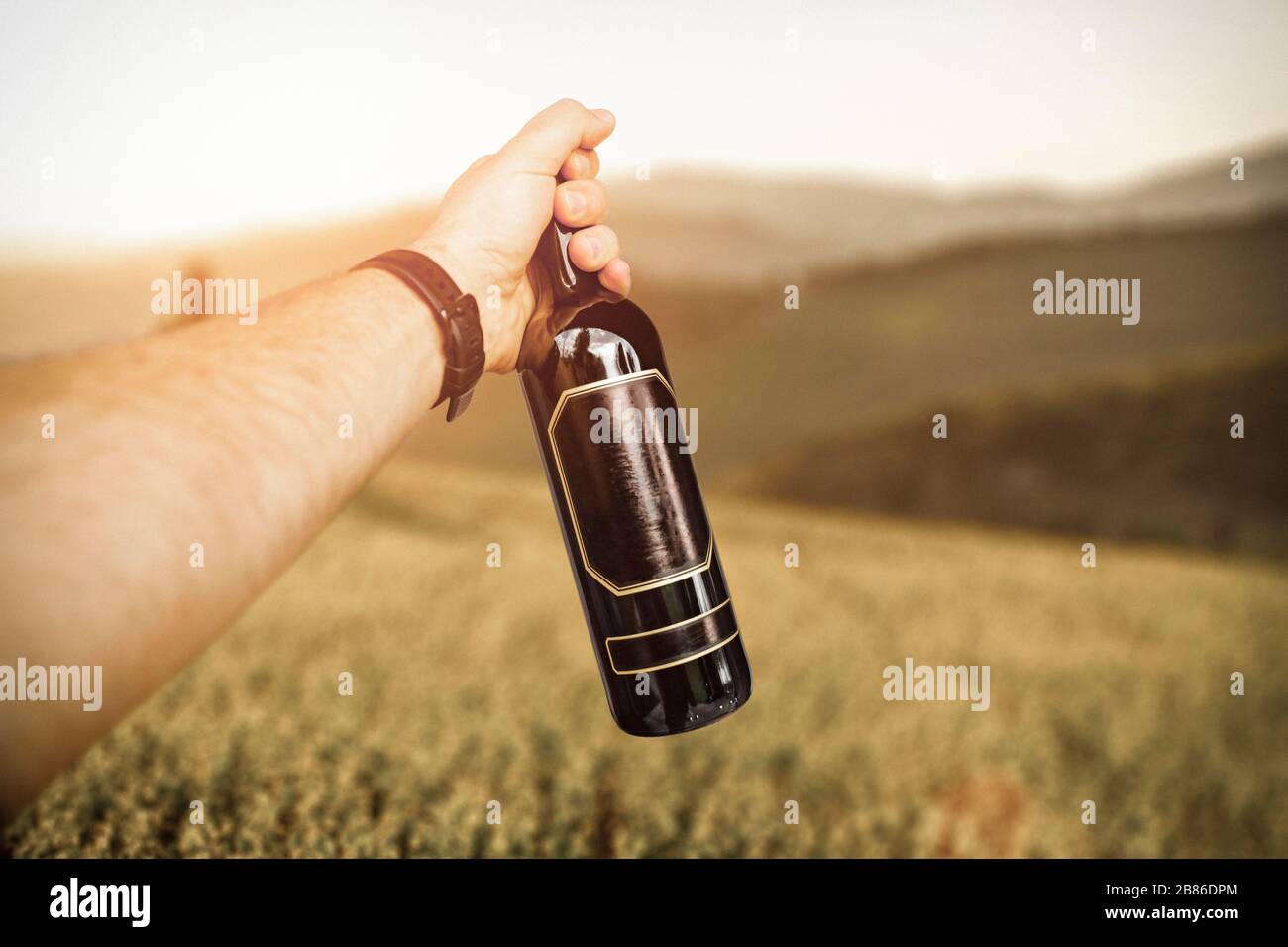 Hand, die eine Abfüllung Wein mit Platz für Ihre Dekoration hält. Sommerzeit. Sommersonne der Toskana. Platz für Werbemittel. Verschwommene Vineyar Stockfoto