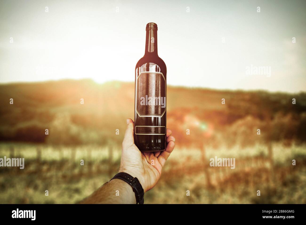 Hand, die eine Abfüllung Wein mit Platz für Ihre Dekoration hält. Sommerzeit. Sommersonne der Toskana. Platz für Werbemittel. Verschwommene Vineyar Stockfoto