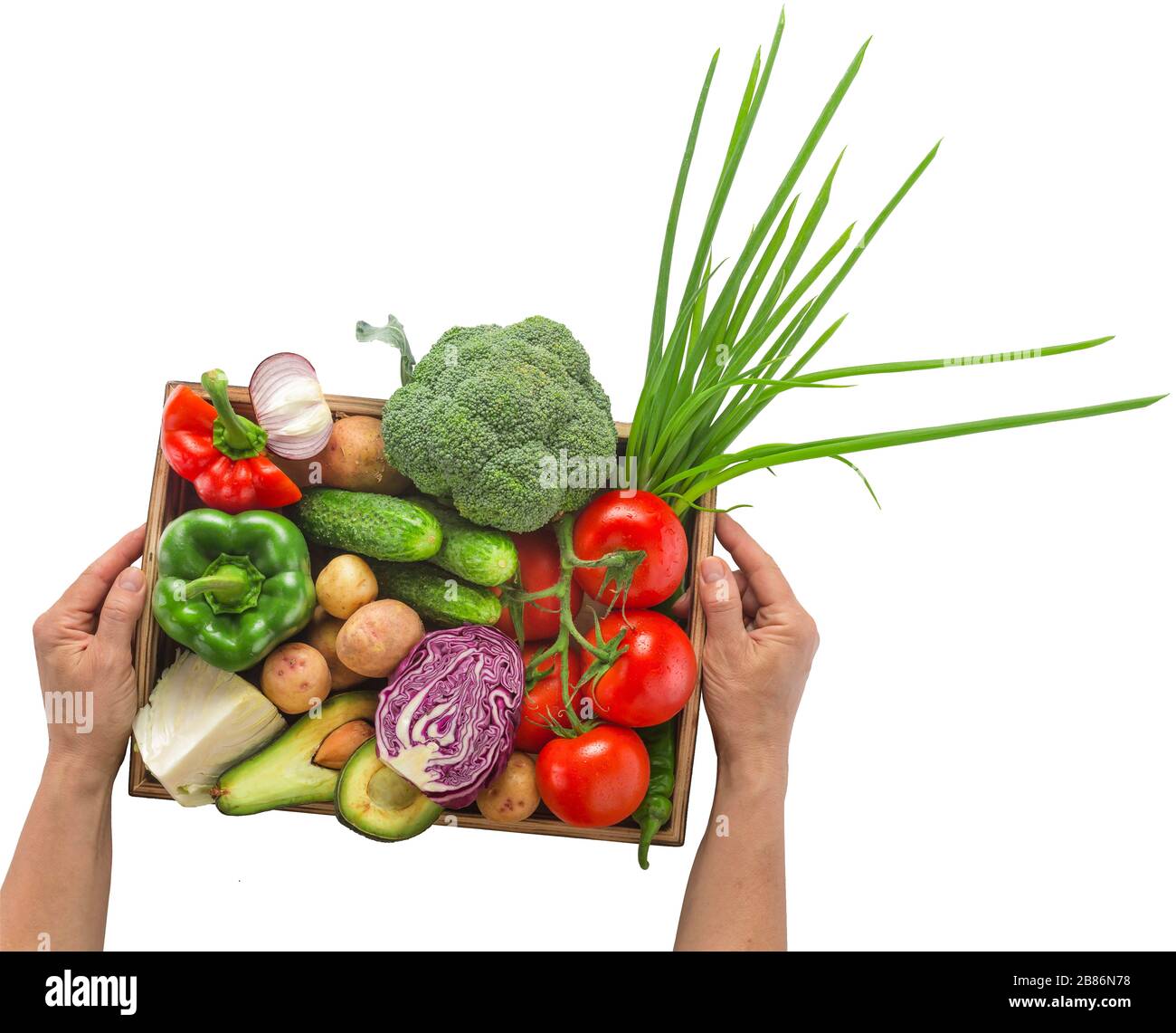 Weibliche Hände, die einen Satz saisonales Gemüse in einer Holzkiste auf weißem Hintergrund halten. Stockfoto