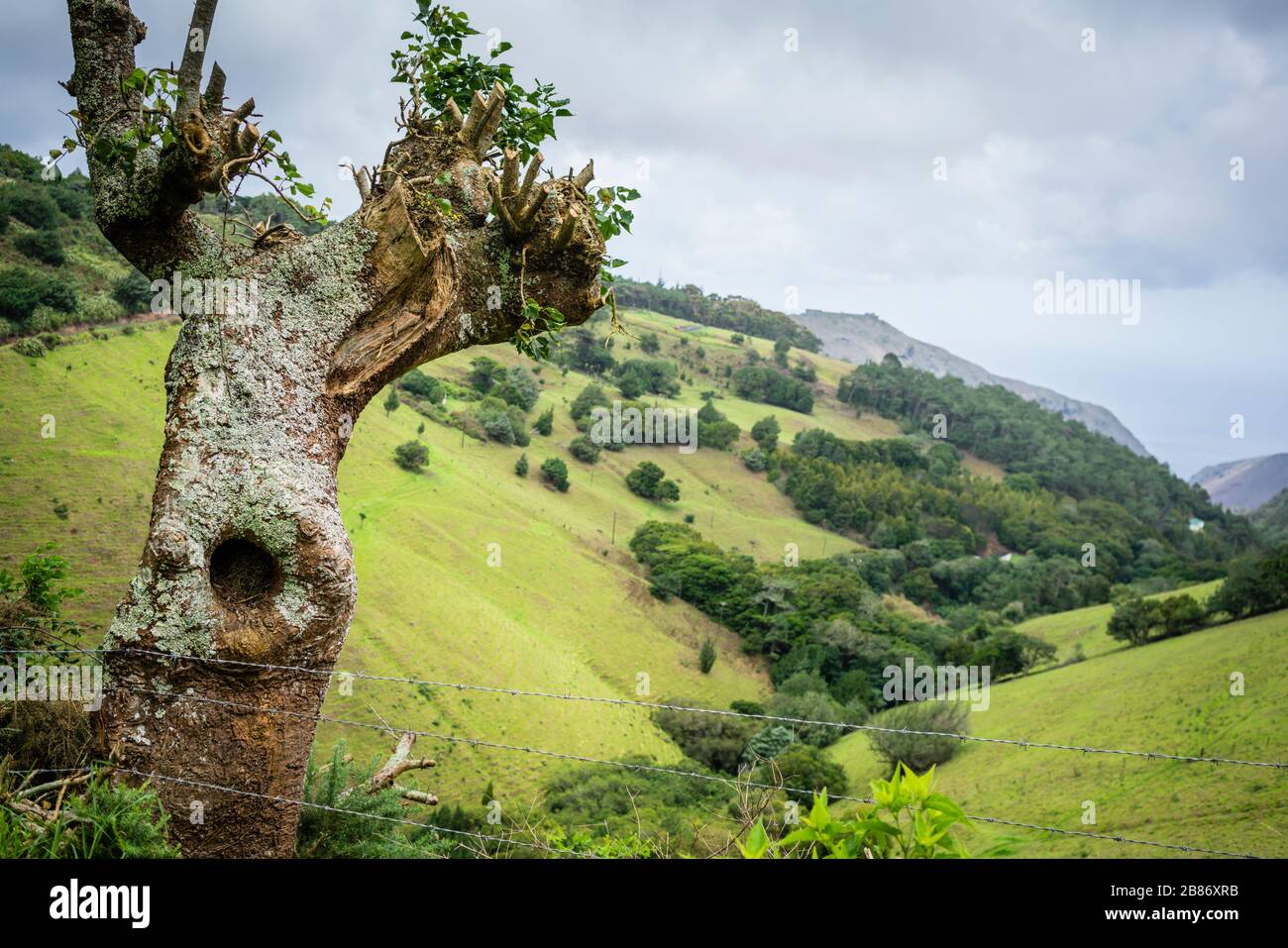 St. Helena Island, Atlantik Stockfoto