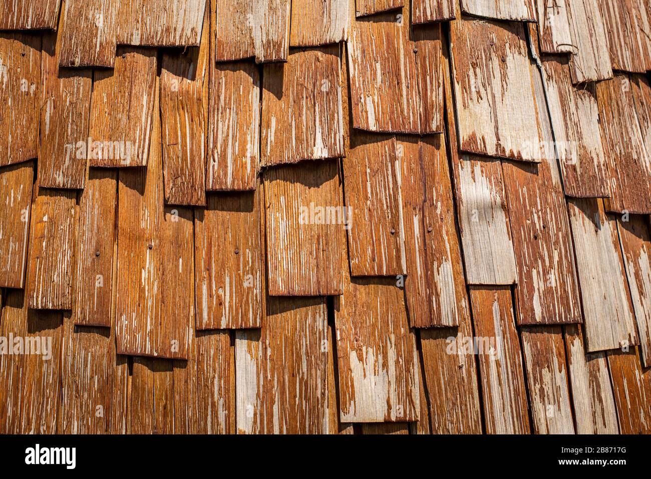 Nahaufnahmen von sich wiederholenden Motiven oder Elementsuiten für Hintergrund oder Hintergrund, in Farbe oder Schwarzweiß. Stockfoto