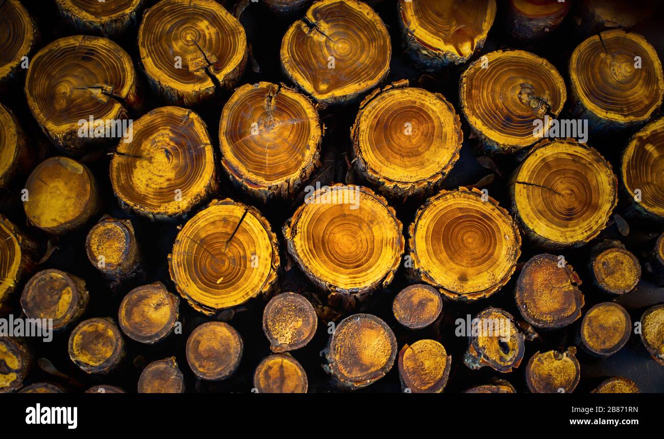 Nahaufnahmen von sich wiederholenden Motiven oder Elementsuiten für Hintergrund oder Hintergrund, in Farbe oder Schwarzweiß. Stockfoto