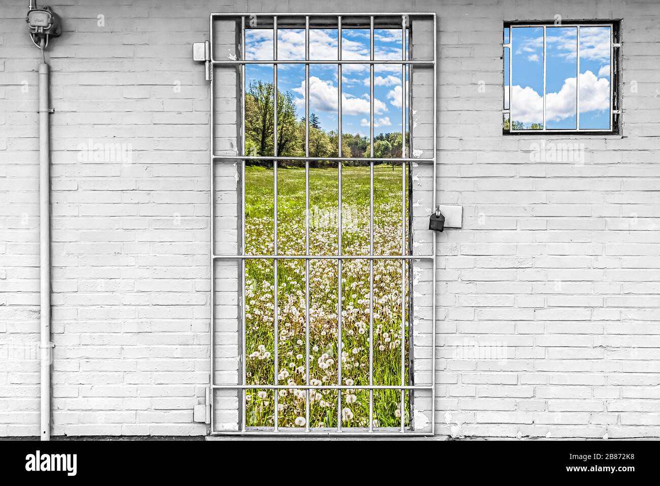 Sommermeadow durch die Bars eines verschlossenen Eisentors Stockfoto