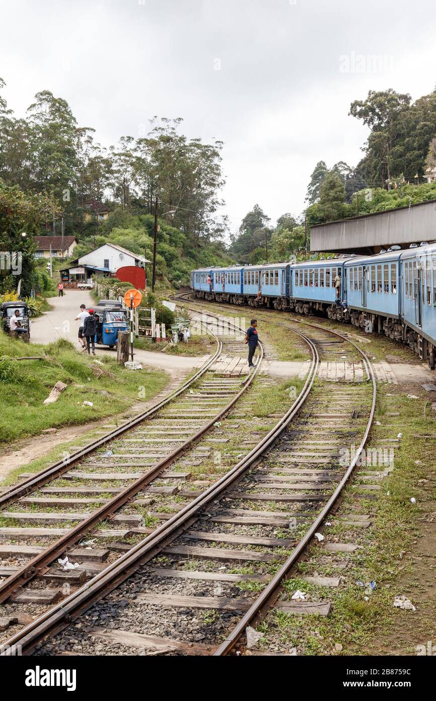 Sri Lanka, zentrale Provinz, Kandy Badulla Zug neben Tee Plantage Stockfoto