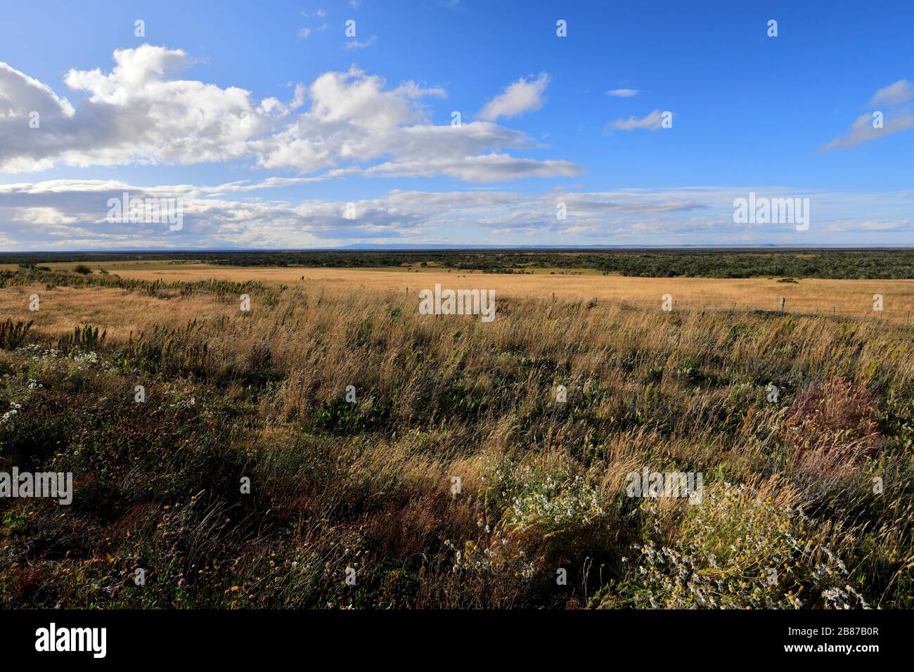 Dramatische Wolken über der Wüste Patagonia Steppe, in der Nähe der Stadt Punta Arenas, Patagonien, Chile, Südamerika Stockfoto