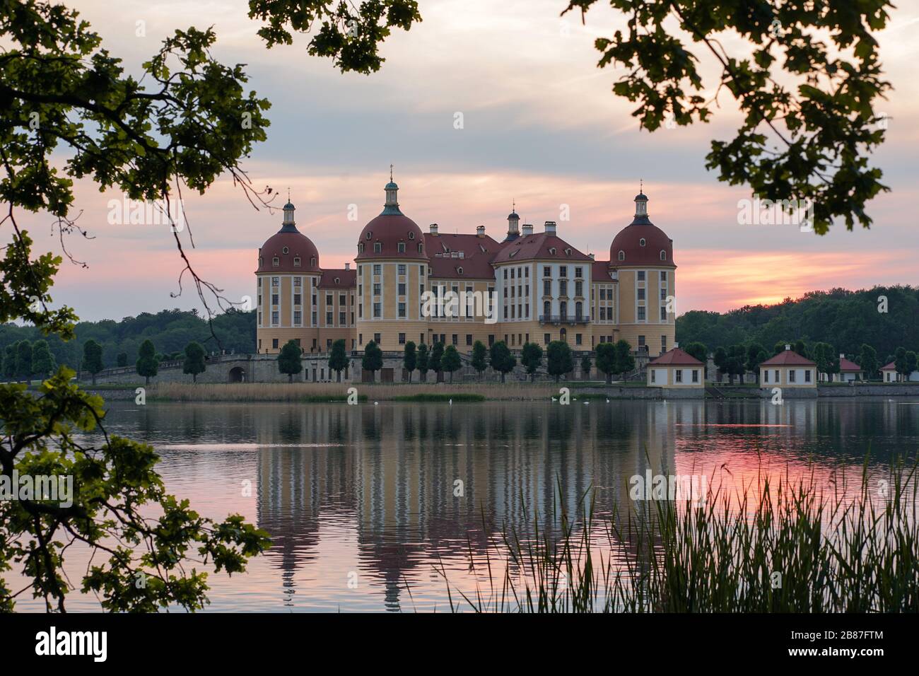 Das Schloss in Moritzburg, Deutschland von Blättern umgeben Stockfoto