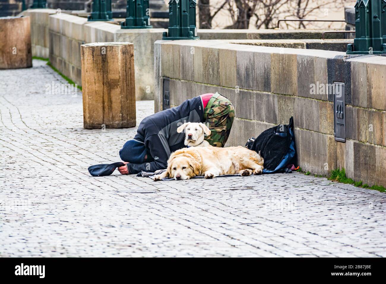 Prag, Tschechische republik - 19. März 2020. Bettler mit Hunden betteln auf der Karlsbrücke ohne Touristen während der Coronavirus-Krise Stockfoto