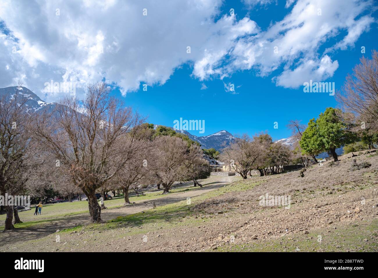 Rouvas Wald auf dem Berg Psiloritis, mit Bächen und farbenfrohen Plantagen im Frühling, auf Crete, Griechenland Stockfoto