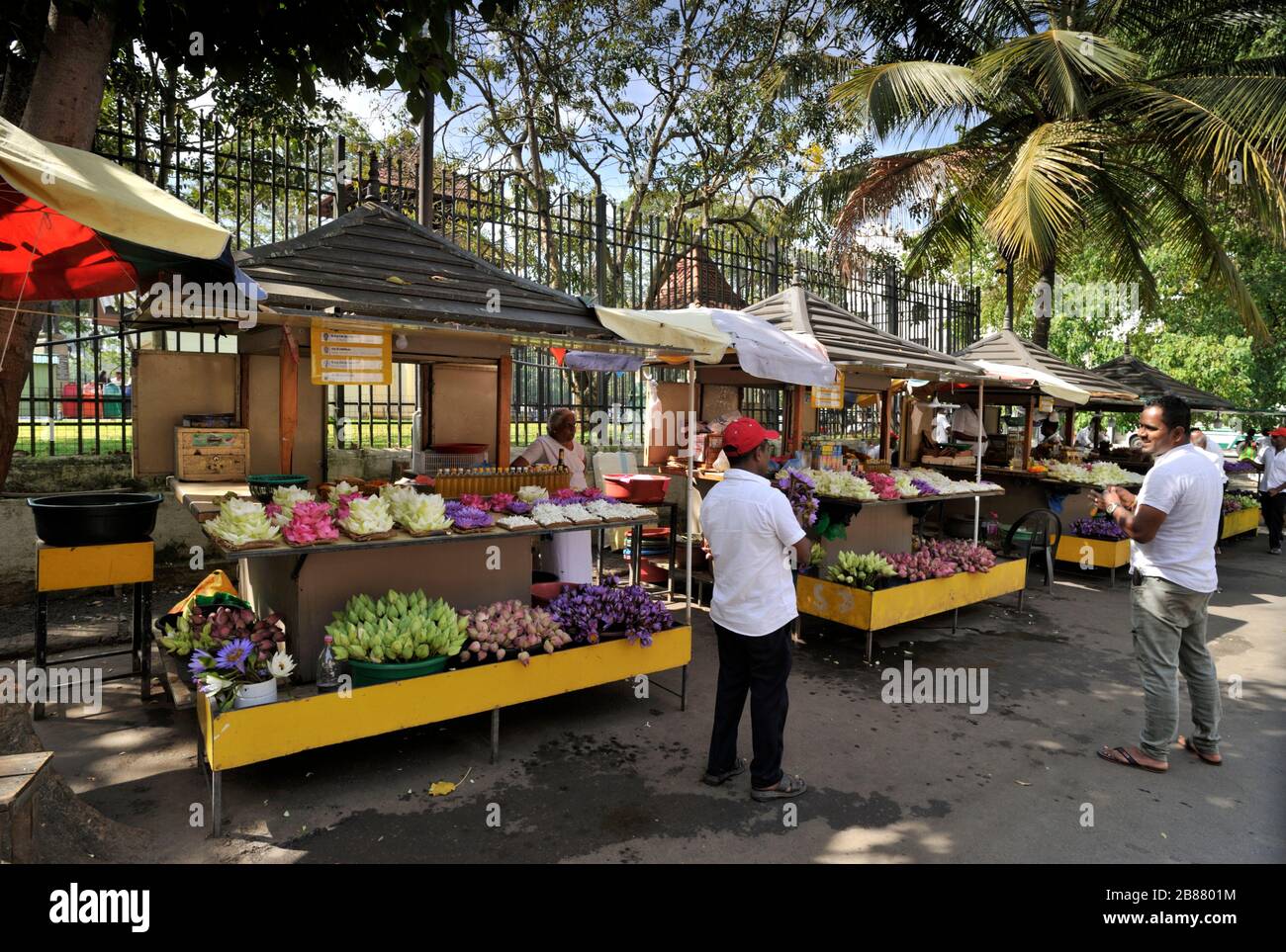 Sri Lanka, Kandy, Blumen stehen vor dem Tempel des Zahnes Stockfoto