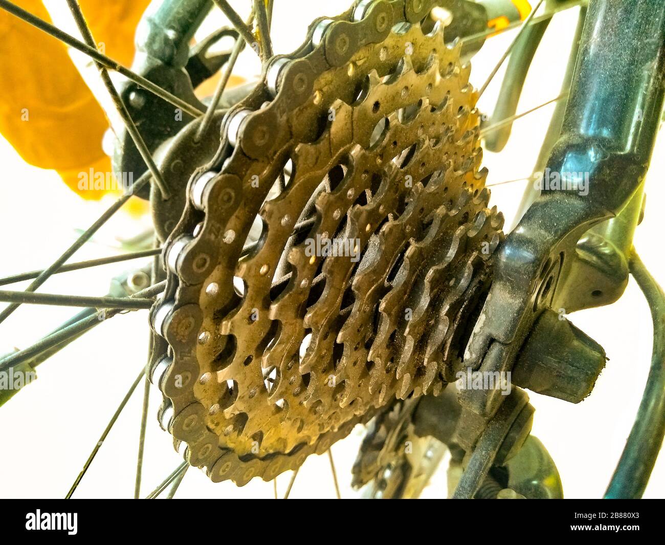 Ein Bild des Kettenrads Stockfoto