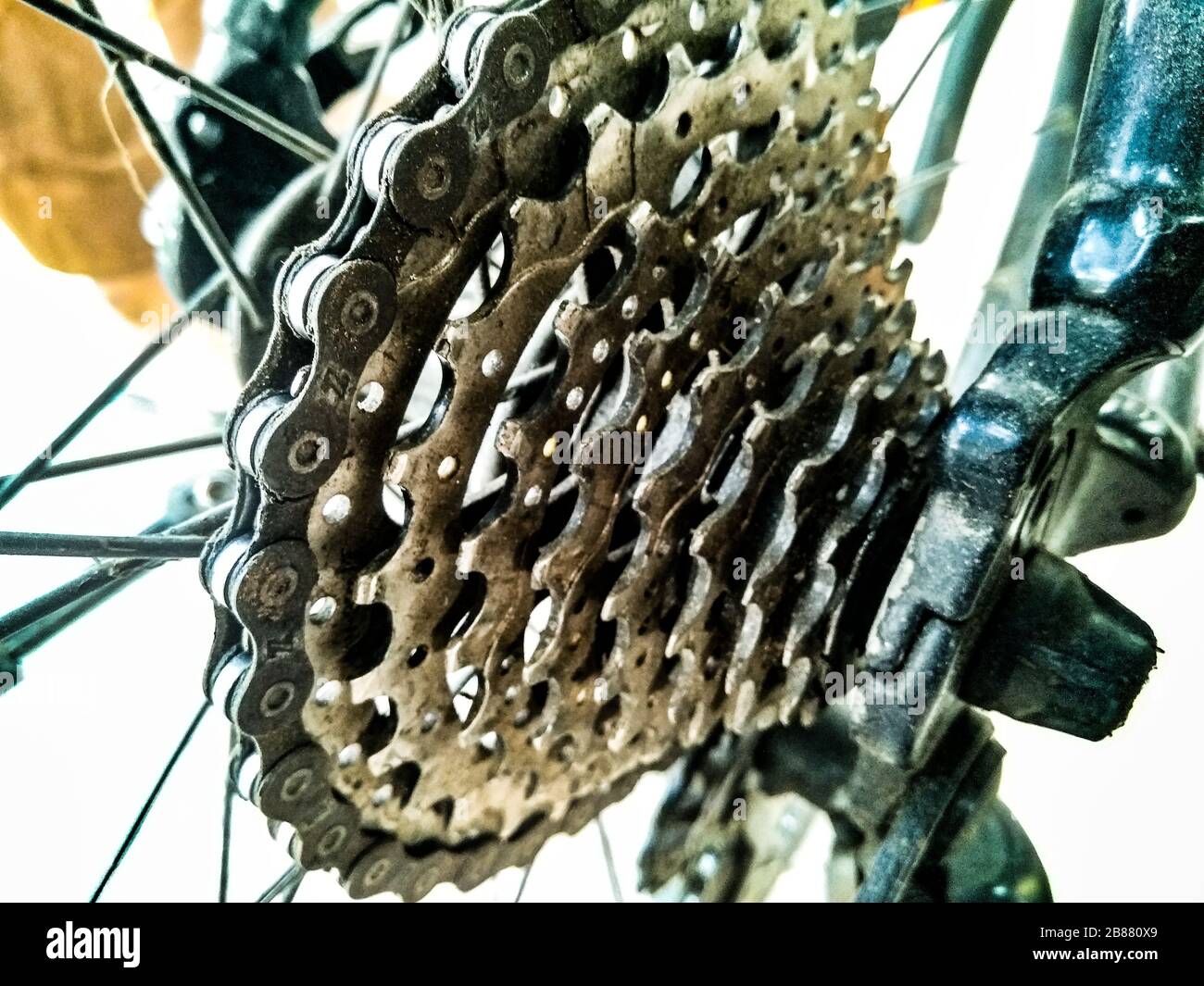 Ein Bild des Kettenrads Stockfoto