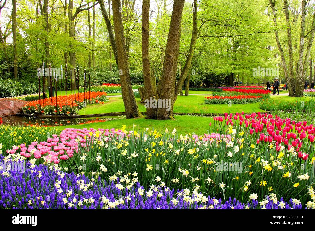 Farbenfrohe Frühlings-Tulpen und Blumen in Keukenhof Gardens, Niederlande Stockfoto