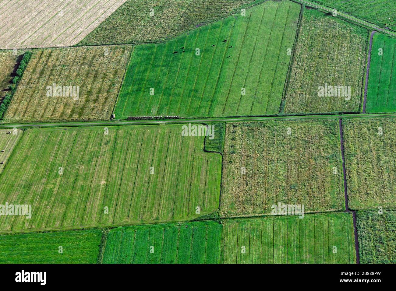 Luftbild über Ackerland mit Schlepperspuren und Graben in landwirtschaftlichen Parzellen ...
