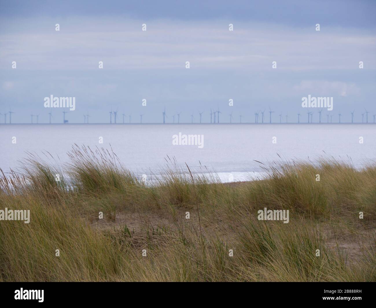Marram-Gras, das am Strand von Sutton on Sea gepflanzt wurde, um den Sand mit Windkraftanlagen in der Ferne zu stabilisieren, Lincoln, Großbritannien Stockfoto
