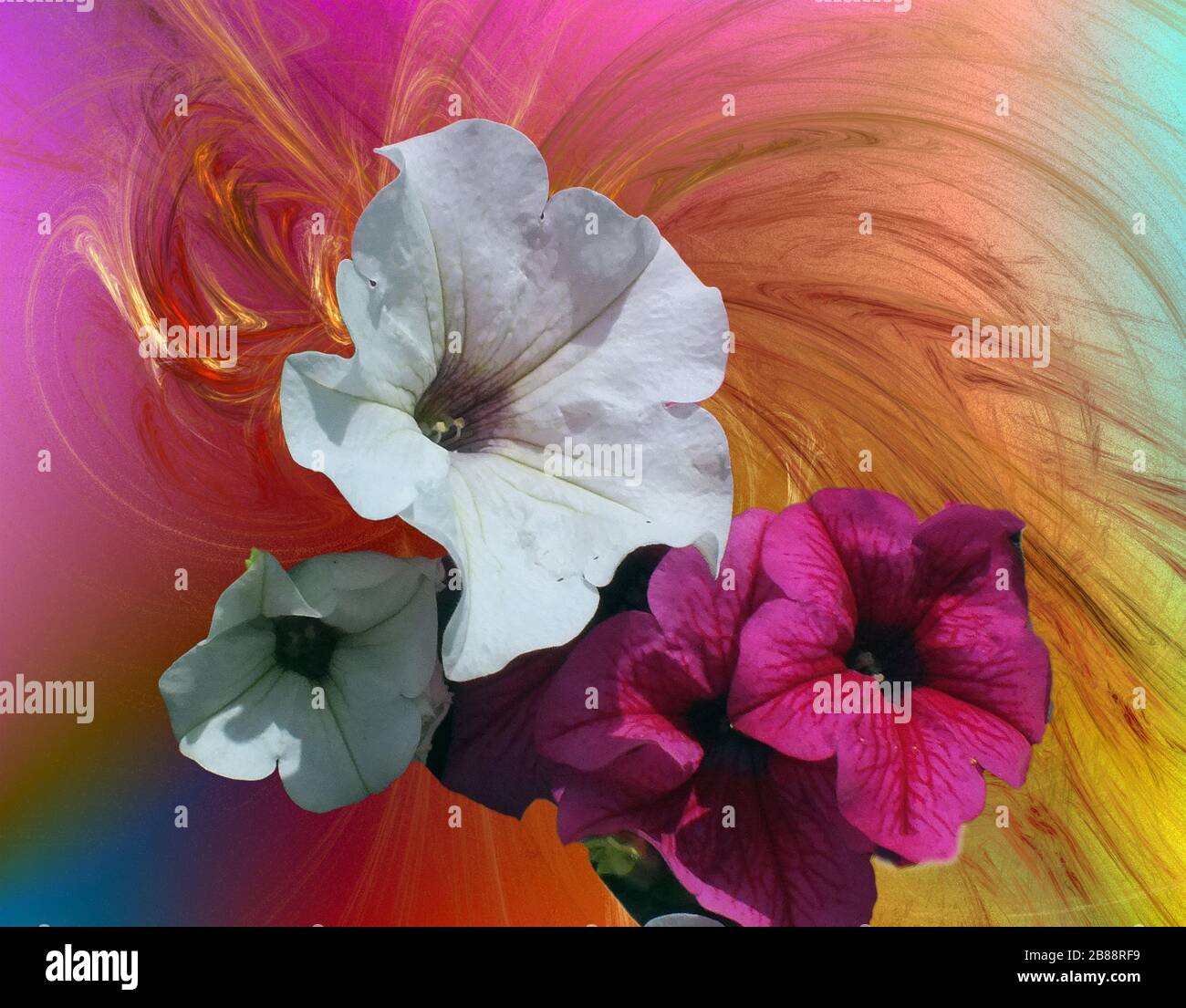 Blumenstrauß mit bunten Blumen im bunten Hintergrund. Stockfoto