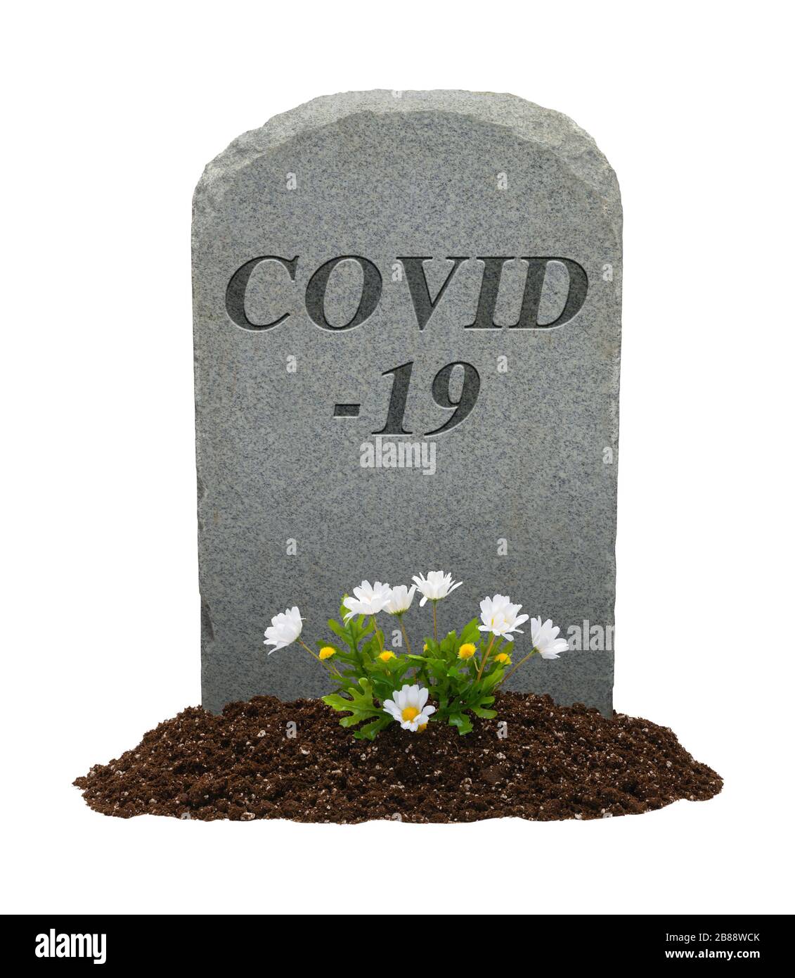 COVID-19 Kopfstein und Blumen isoliert auf weißem Hintergrund. Stockfoto