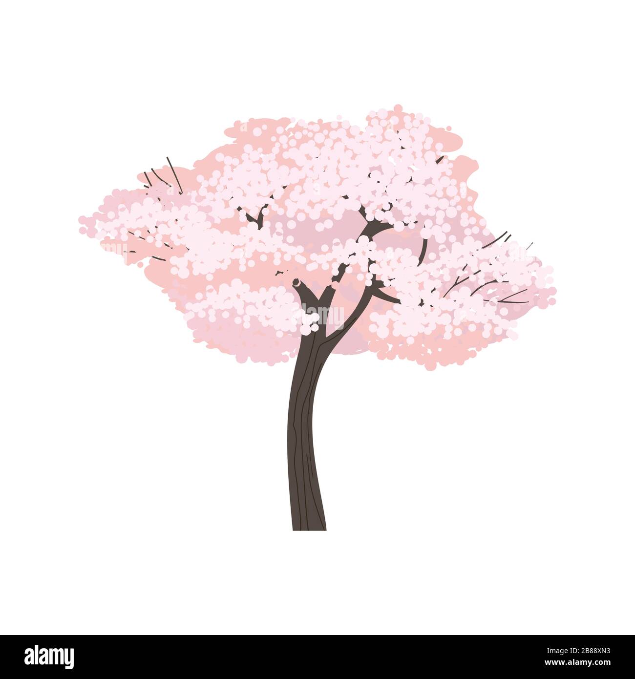Blühender Kirschbaum isoliert auf weiß Stock Vektor
