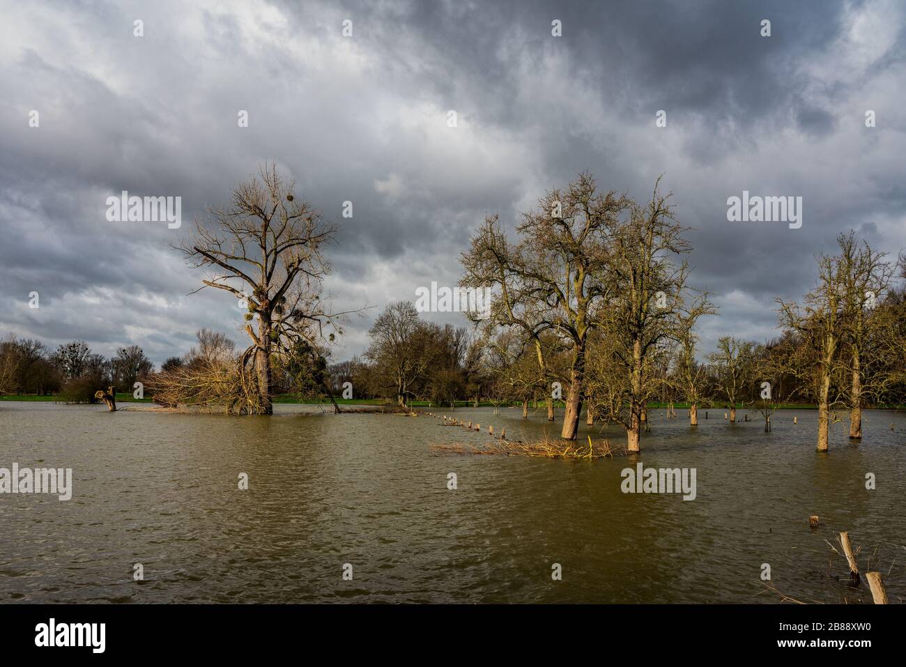 Hochwasser am Rhein bei Düsseldorf Stockfoto
