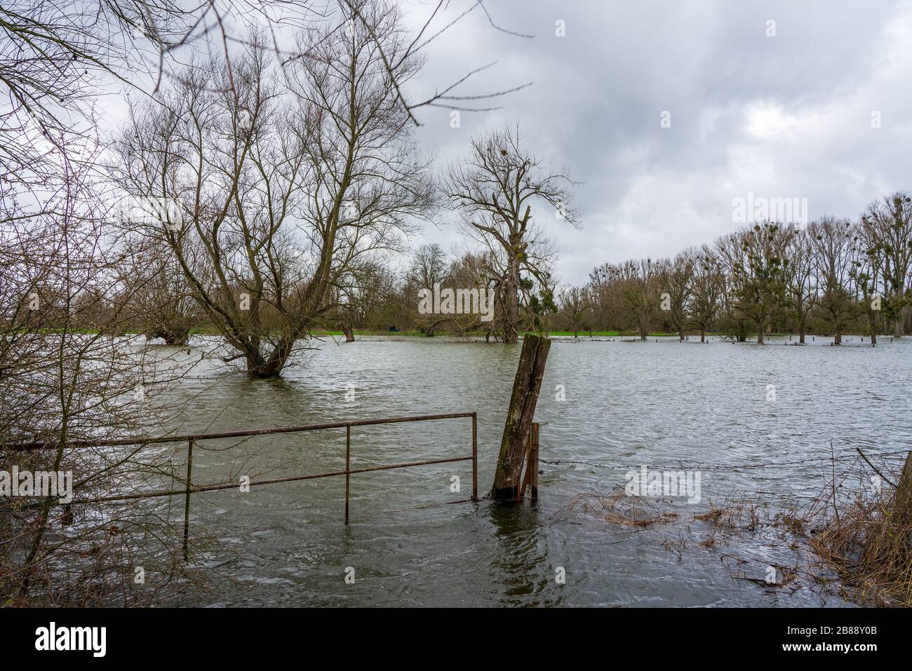 Hochwasser am Rhein bei Düsseldorf Stockfoto