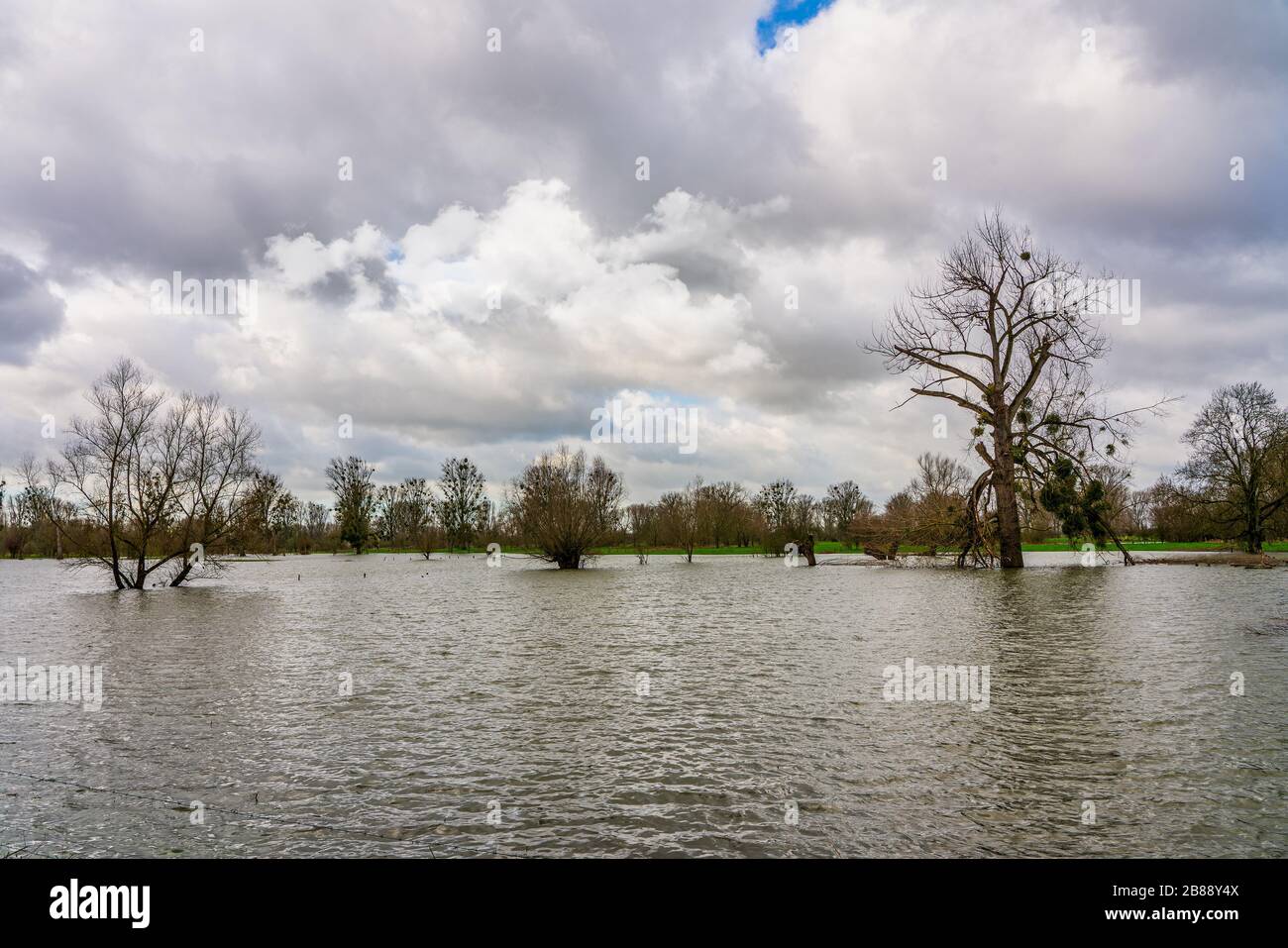Hochwasser am Rhein bei Düsseldorf Stockfoto