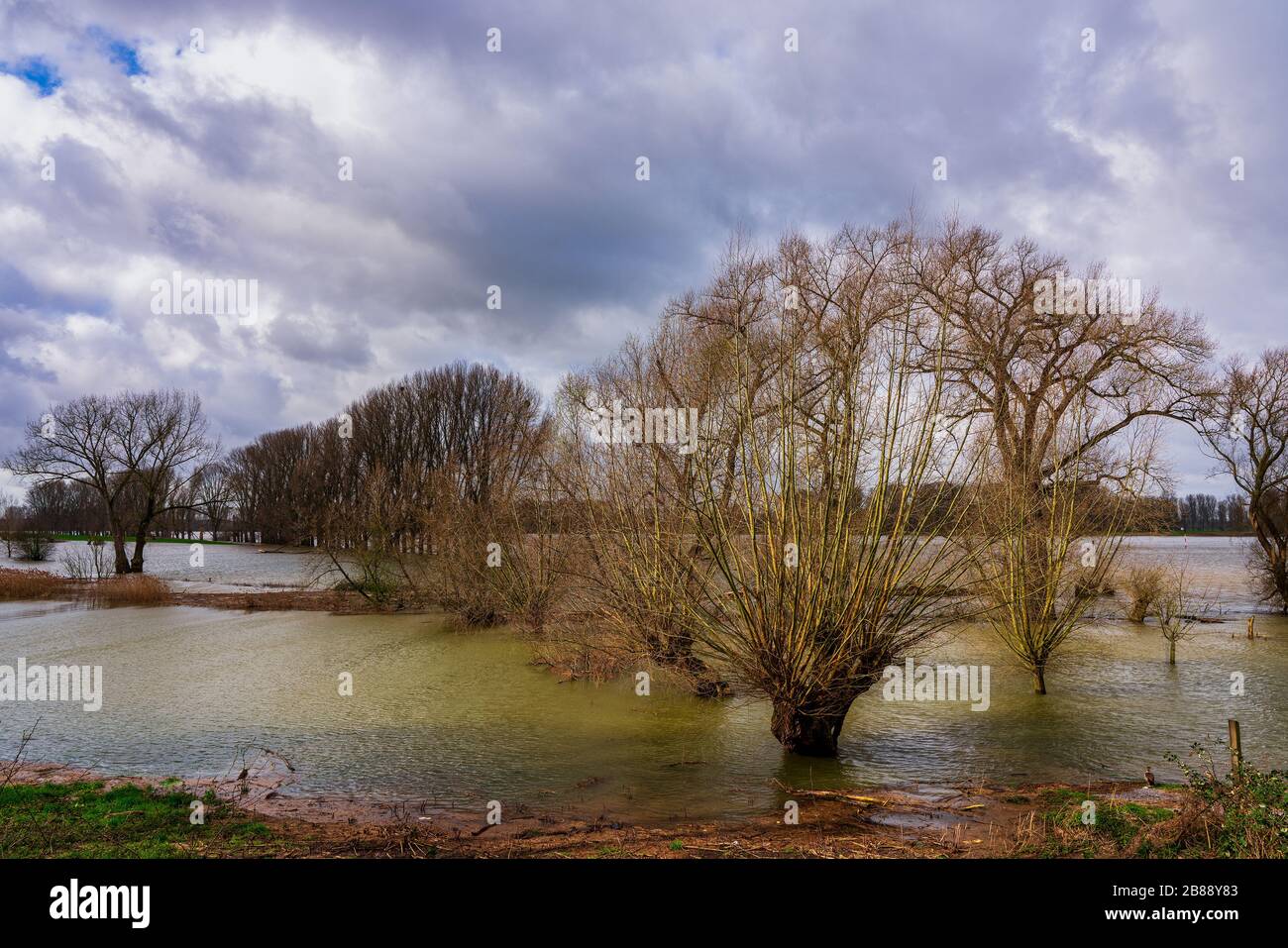 Hochwasser am Rhein bei Düsseldorf Stockfoto