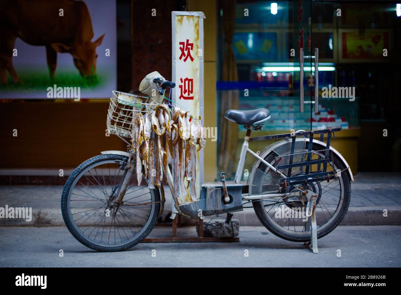 Fisch trocknet auf einem Fischhändler Fahrrad in einer Hintergasse/Hutong von Shanghai, China Stockfoto