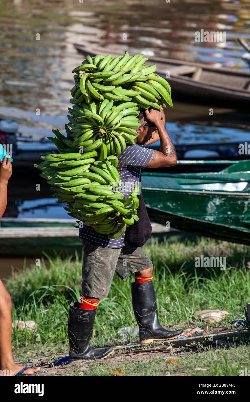Bananas Amazon Stockfotos und -bilder Kaufen - Alamy