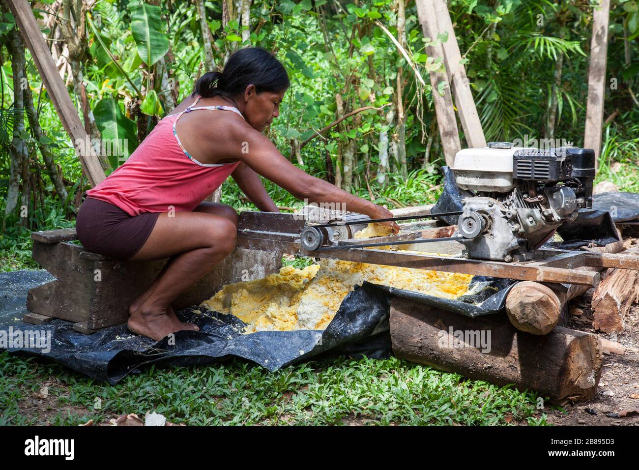 Indische Reservierung Ticuna Tride Woman mit einer Yuca Gitter Maschine für Lebensmittel, Mocagua, Amazon, Kolumbien, Südamerika. Stockfoto