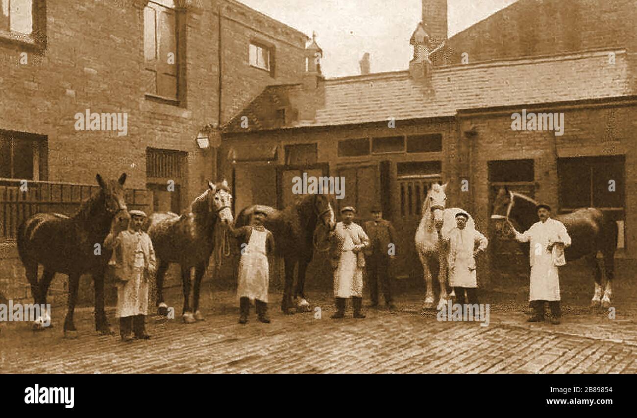 Huddersfield Industrial Society - ein frühes Foto des Stall Yard, der Pferde und des Personals der Gesellschaft Stockfoto