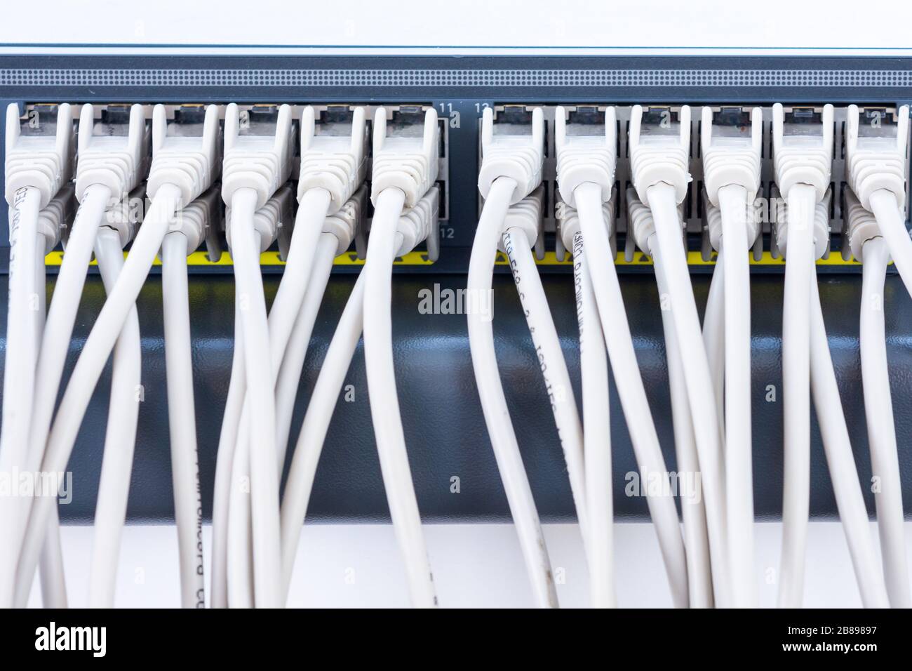 Ethernet-Kabel, die mit dem Netzwerk-Switch im Büro verbunden sind Stockfoto
