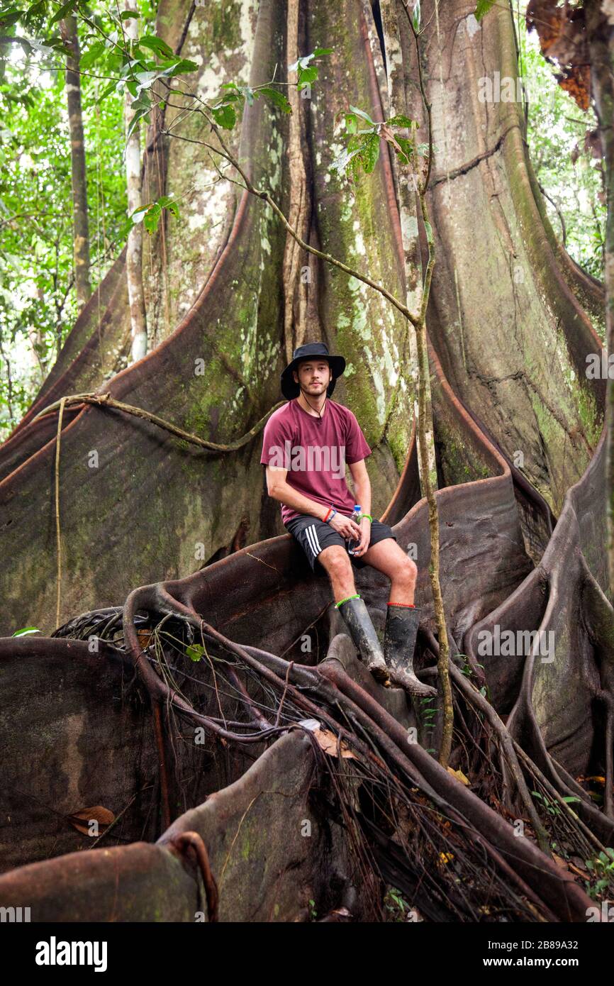 Der Junge sitzt auf den Buttress Wurzeln des riesigen Oje Baums im Amazonas-Regenwald und gibt ein Gefühl von Ausmaßung. Peru, Südamerika. Stockfoto