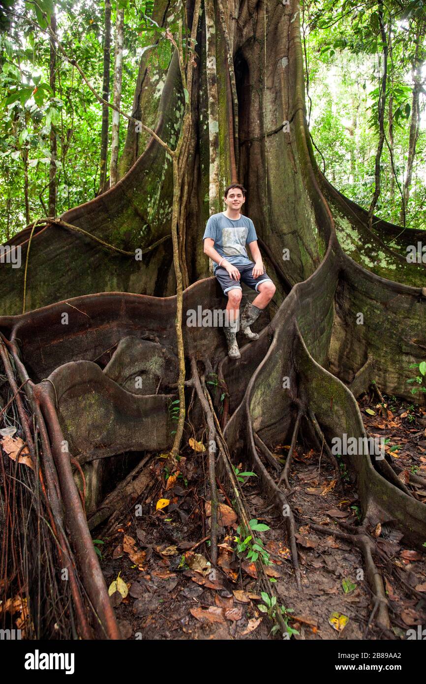 Der Junge sitzt auf den Buttress Wurzeln des riesigen Oje Baums im Amazonas-Regenwald und gibt ein Gefühl von Ausmaßung. Peru, Südamerika. Stockfoto