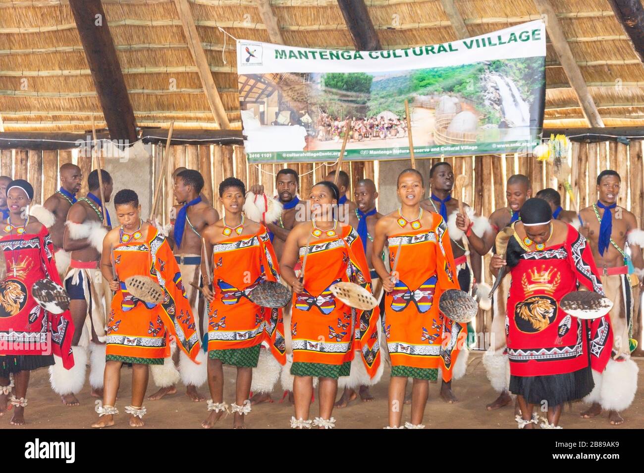 Kulturelle Tanzshow im Swazi Cultural Center, Mantenga Nature Reserve, Lobamba, Ezulwini Valley, Königreich Eswatini (Swasiland) Stockfoto