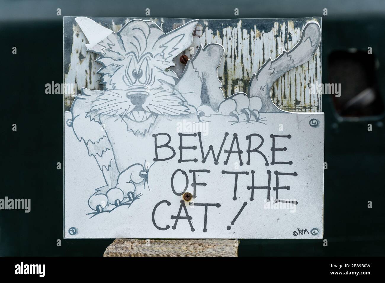 Amüsantes humoristisches Schild Beware of the Cat mit einem gruseligen Katzen-Zeichentrickbild Stockfoto