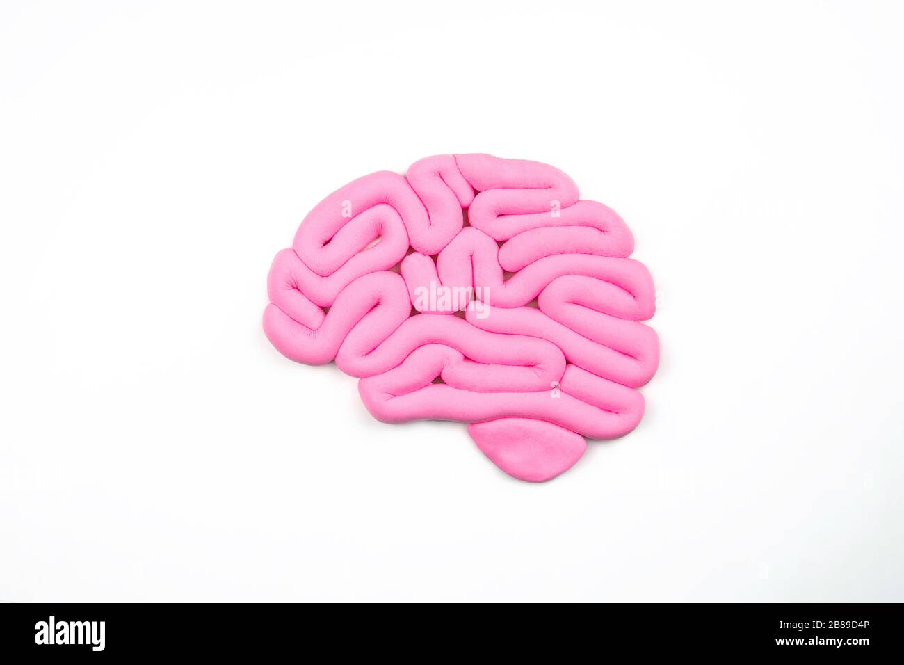 Modell des rosafarbenen menschlichen Gehirns auf weißem Hintergrund. Profilansicht, flache Lage. Intelligenzkonzept. Stockfoto