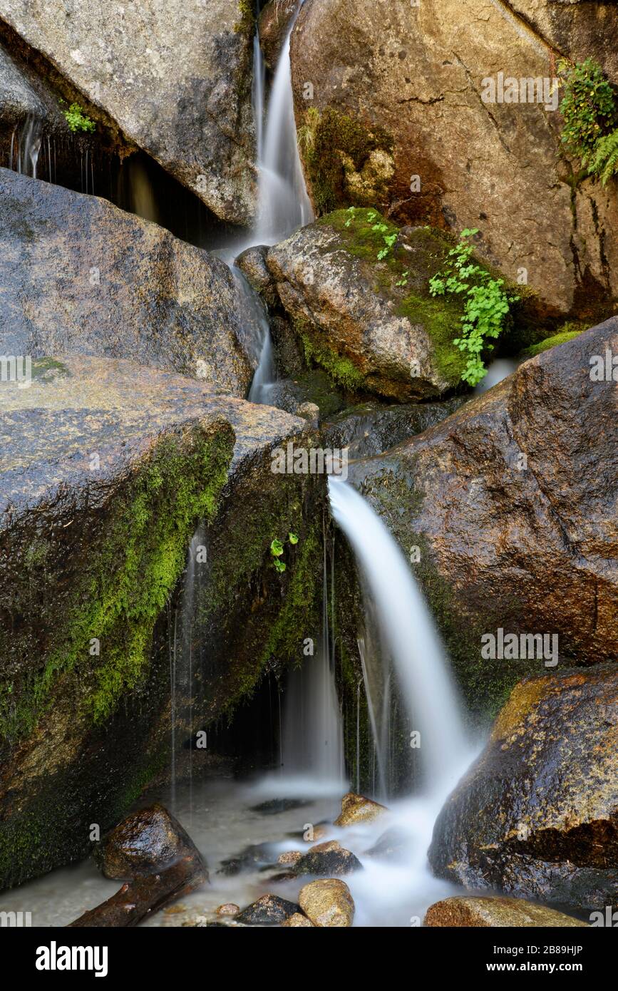 Detail des Wassers, das zwischen Felsen in Bells Canyon, Wasatch Mtns fließt. Stockfoto