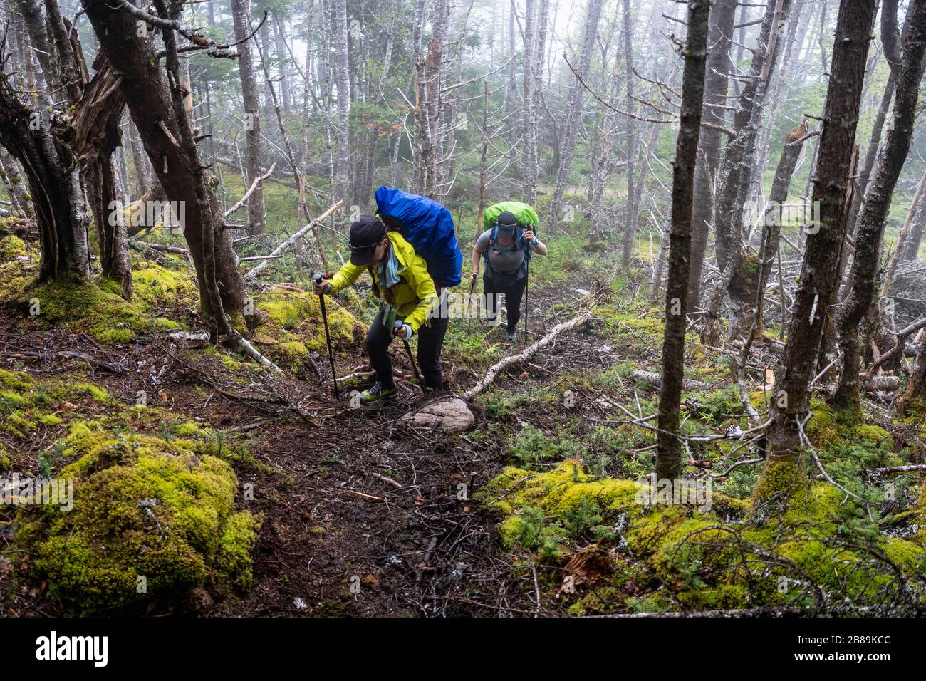 Zwei Wanderinnen Mittleren Alters Auf Dem East Coast Trail Stockfoto