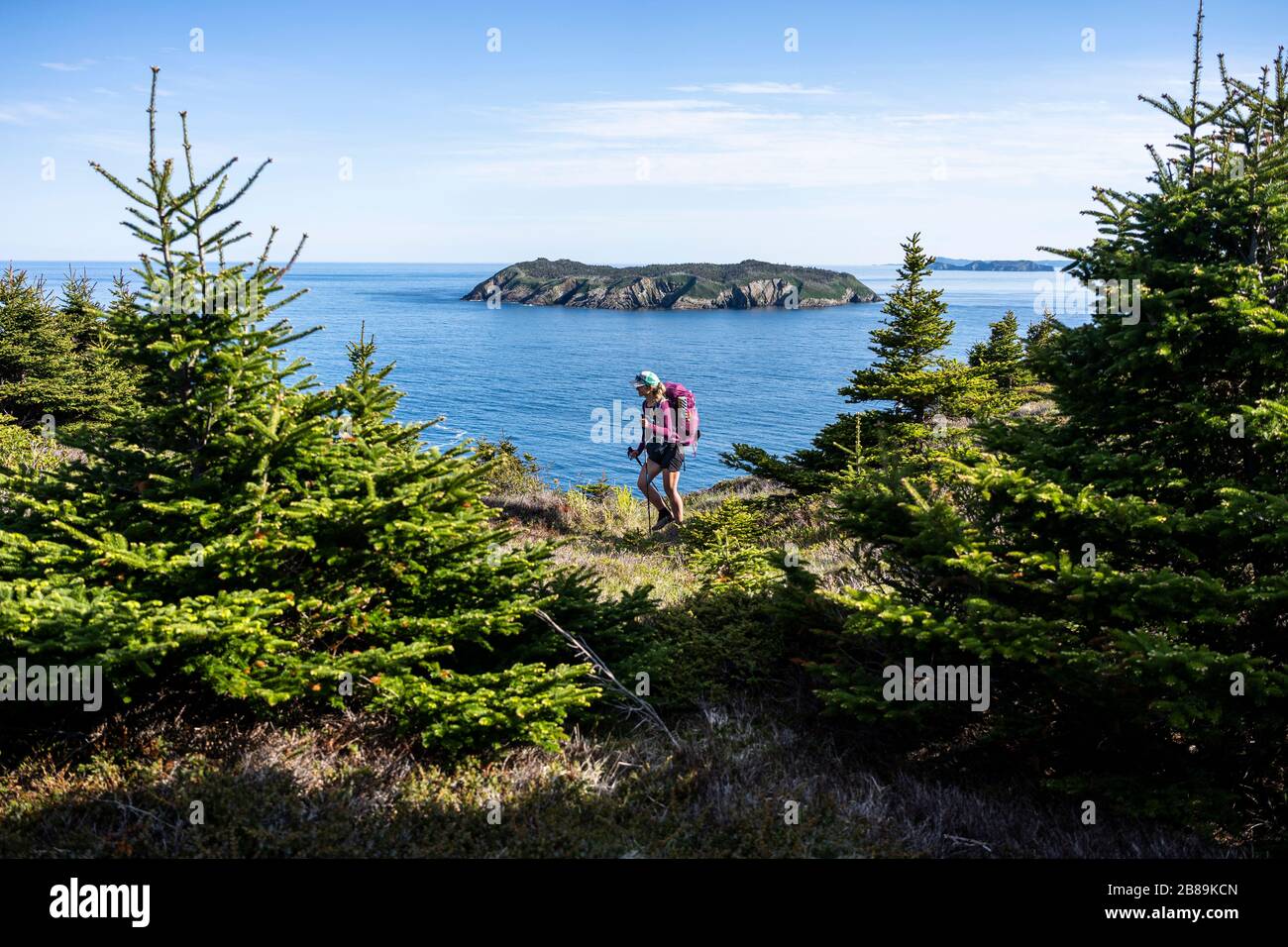 Weibliche Backpacker Auf Dem East Coast Trail Mit Gull Island Im Hintergrund Stockfoto