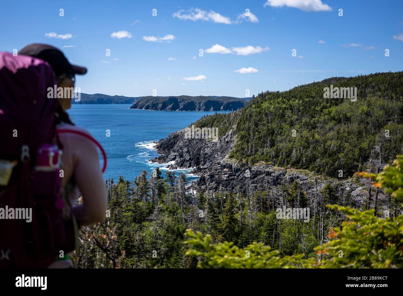 Young Backpacker Blickt Zurück Auf Den East Coast Trail In Neufundland Stockfoto