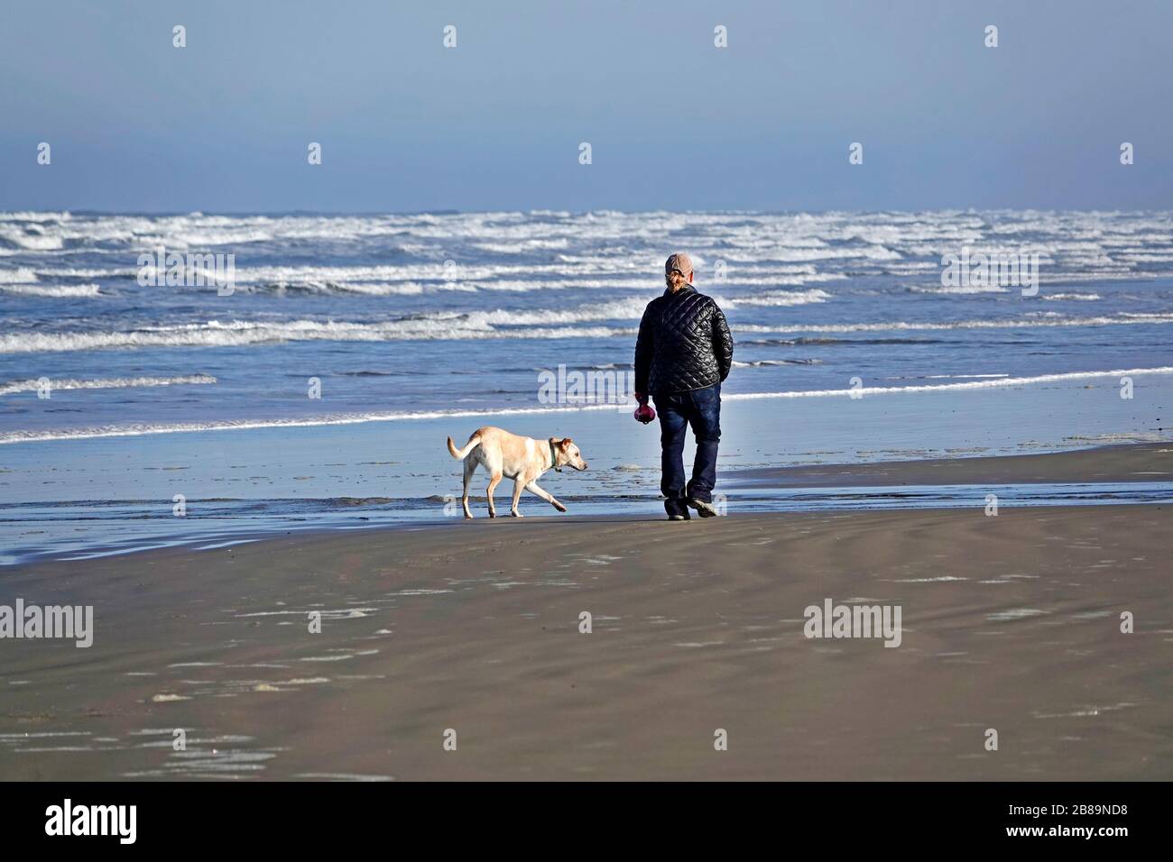 Eine Frau, die ihren Hund entlang eines Strandes an der Pazifikküste von Oregon in der Nähe der Stadt Yachats, Oregon, spazieren geht. Stockfoto