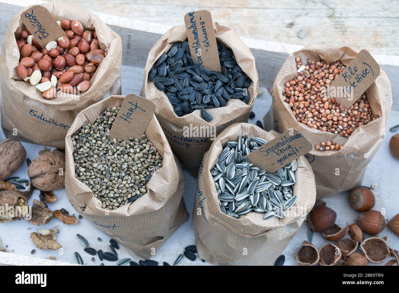 Zutaten für gemischte Vogelsamen: Erdnüsse, große Hirse, Sonnenblumensamen, Walnüsse und Haselnüsse, Deutschland Stockfoto