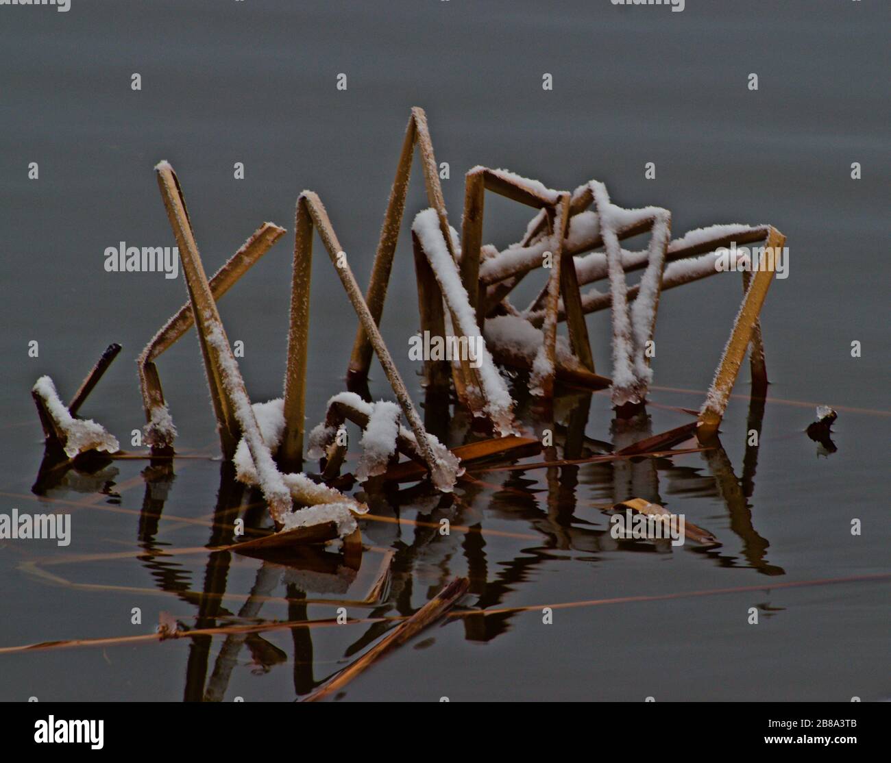 Panhandle winter -Fotos und -Bildmaterial in hoher Auflösung – Alamy