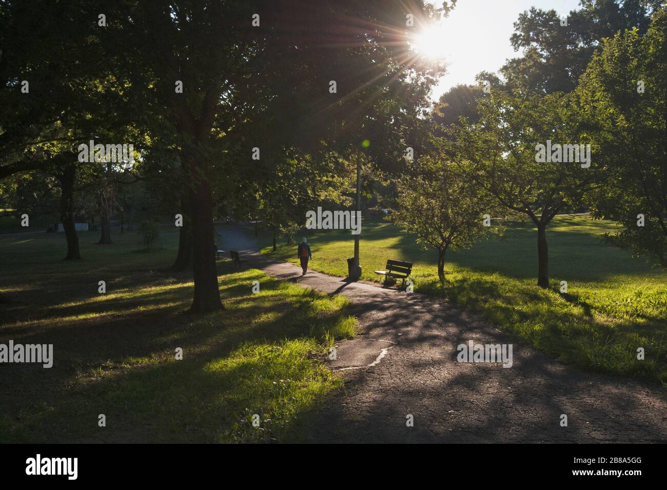 Machen Sie einen Spaziergang am frühen Morgen im Stadtpark mit Baumstruktur Stockfoto
