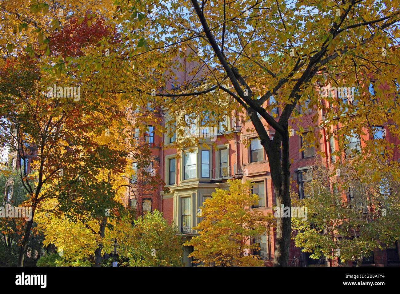 Bäume und Gebäude entlang der Commonwealth Avenue, Boston, Massachusetts, USA Stockfoto