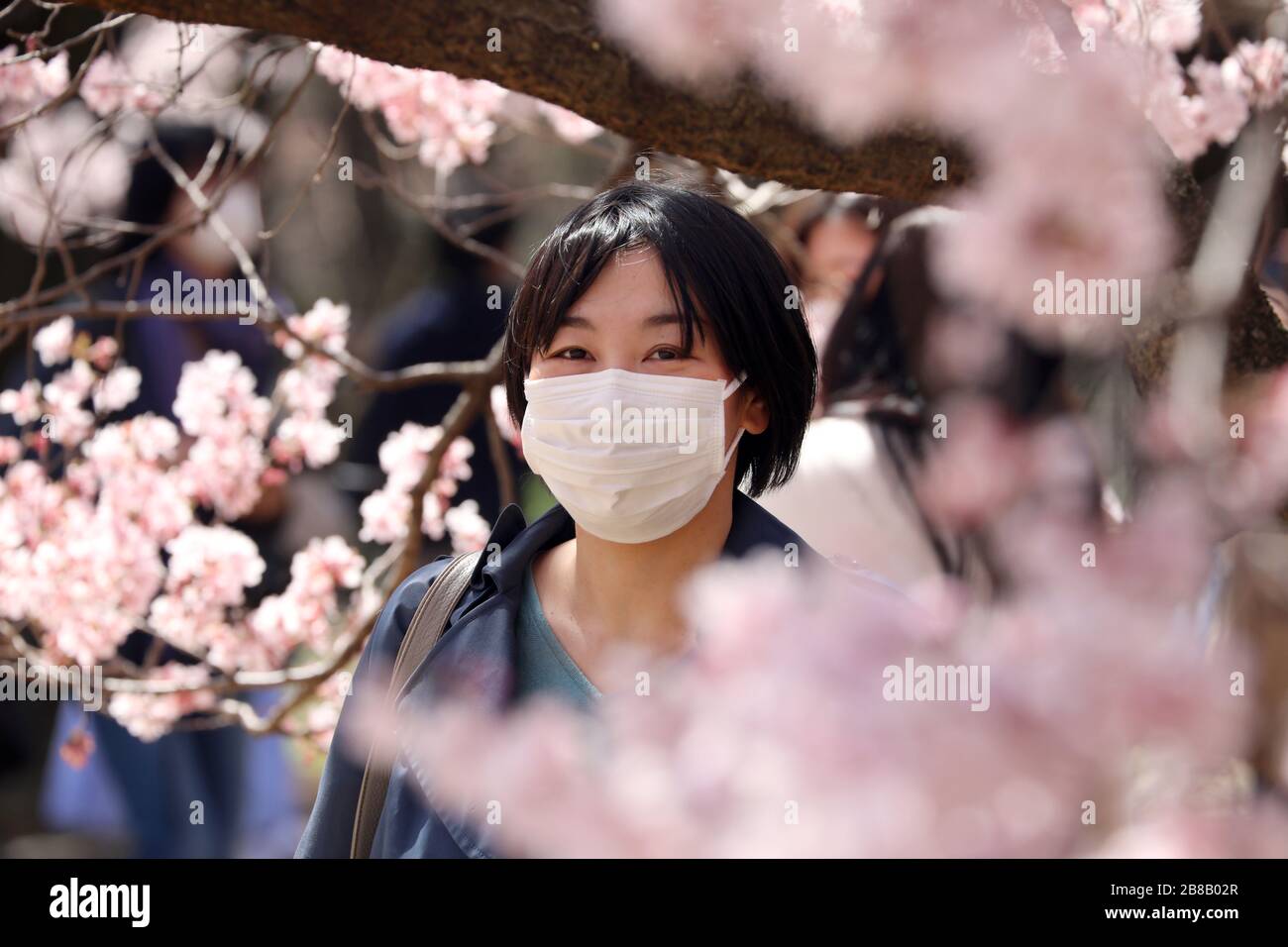 Tokio, Japan. März 2020. Die Angst vor dem Coronavirus hielt die Japaner nicht davon ab, an ihrer jährlichen Kirschblüte zu teilnehmen. Bewaffnet mit Gesichtsmasken stellte sich die Menschenmenge wie gewohnt heraus, um die blühenden Bäume im Tokioter Shinjuku Gyoen Nationalpark in Shinjuku in Japan zu fotografieren. Es gab Einschränkungen bei den üblichen organisierten Picknicks, und die Menschenmengen waren möglicherweise dünner als im letzten Jahr, aber das hat nicht dazu geführt, dass die Menschen die Blüte genossen und ein paar provisorische Picknicks aufstellten, wenn auch mit etwas mehr Abstand zwischen den Gruppen als sonst. Credit: Paul Brown/Alamy Live News Stockfoto